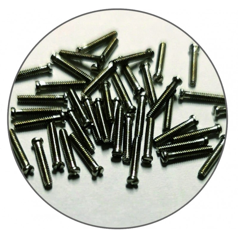 100 PRECISION SCREWS 6.0mm 100 PRECISION SCREWS 6.0mm