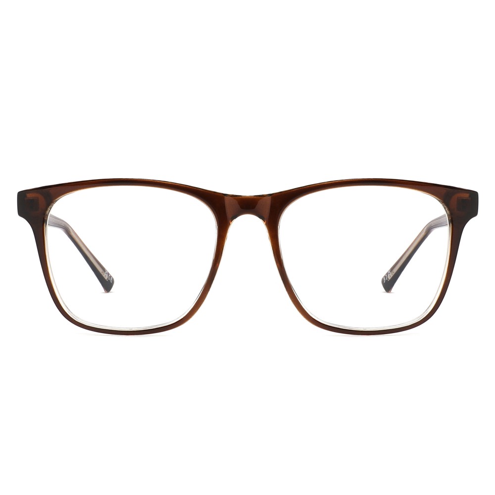HE2013 BROWN HE2013 BROWN